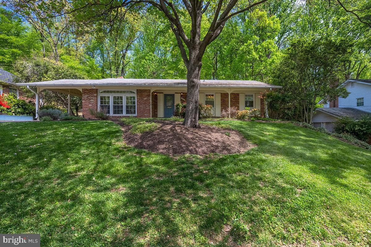 6538 Renwood Lane photo 33