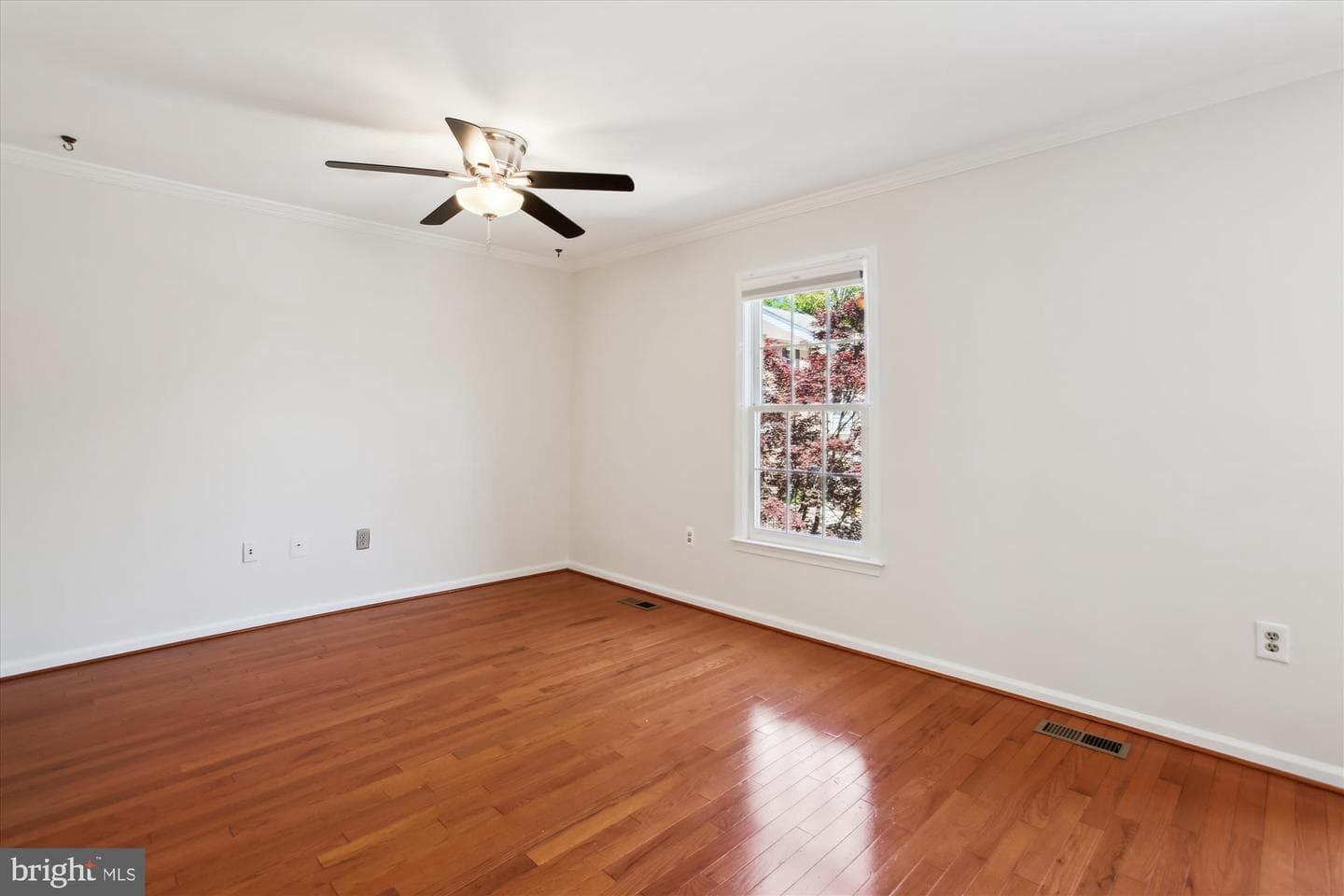 4648 Luxberry Drive photo 20