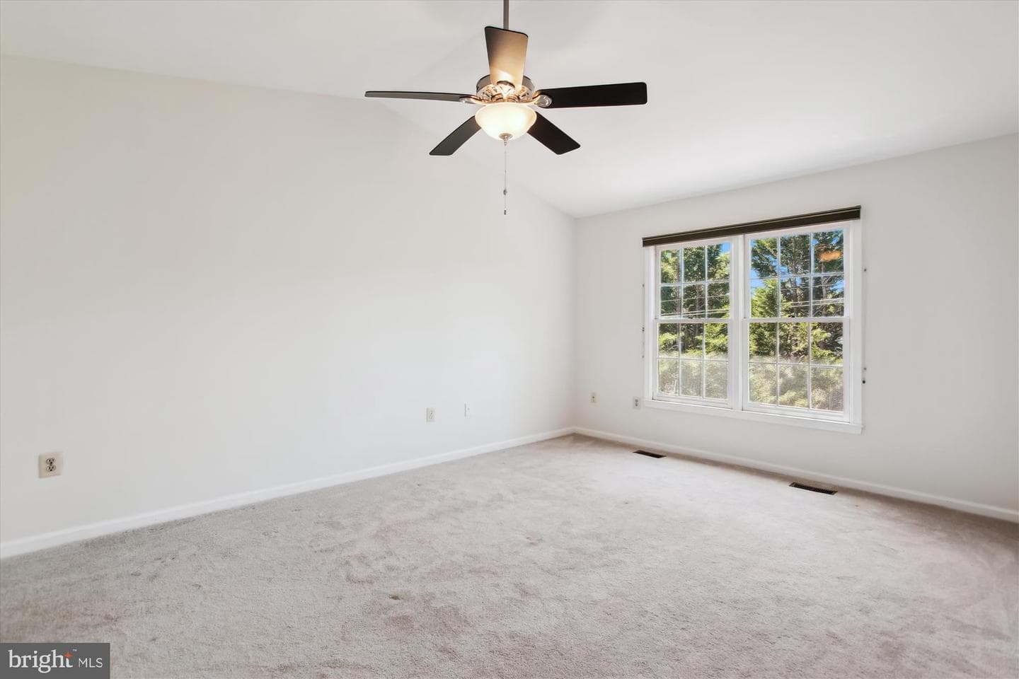 4648 Luxberry Drive photo 43