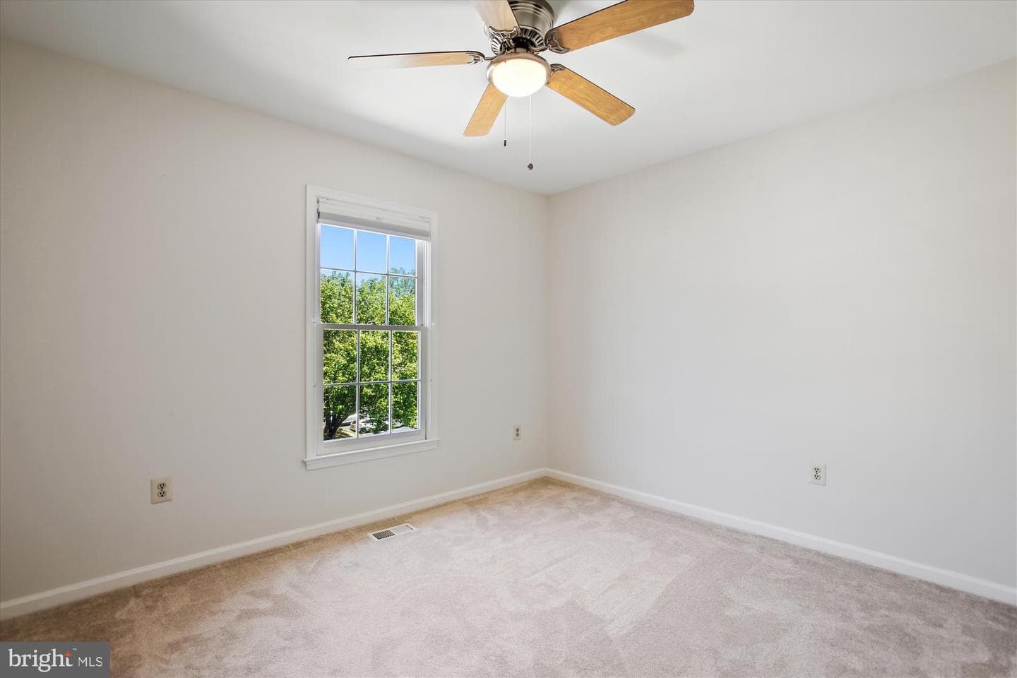 4648 Luxberry Drive photo 61