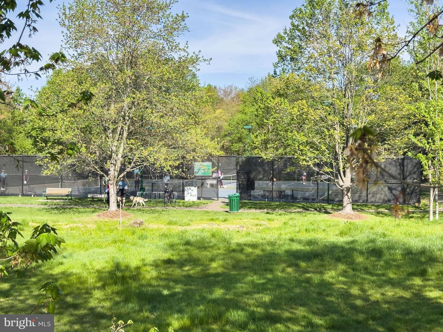 3608 Sweethorn Court photo 39