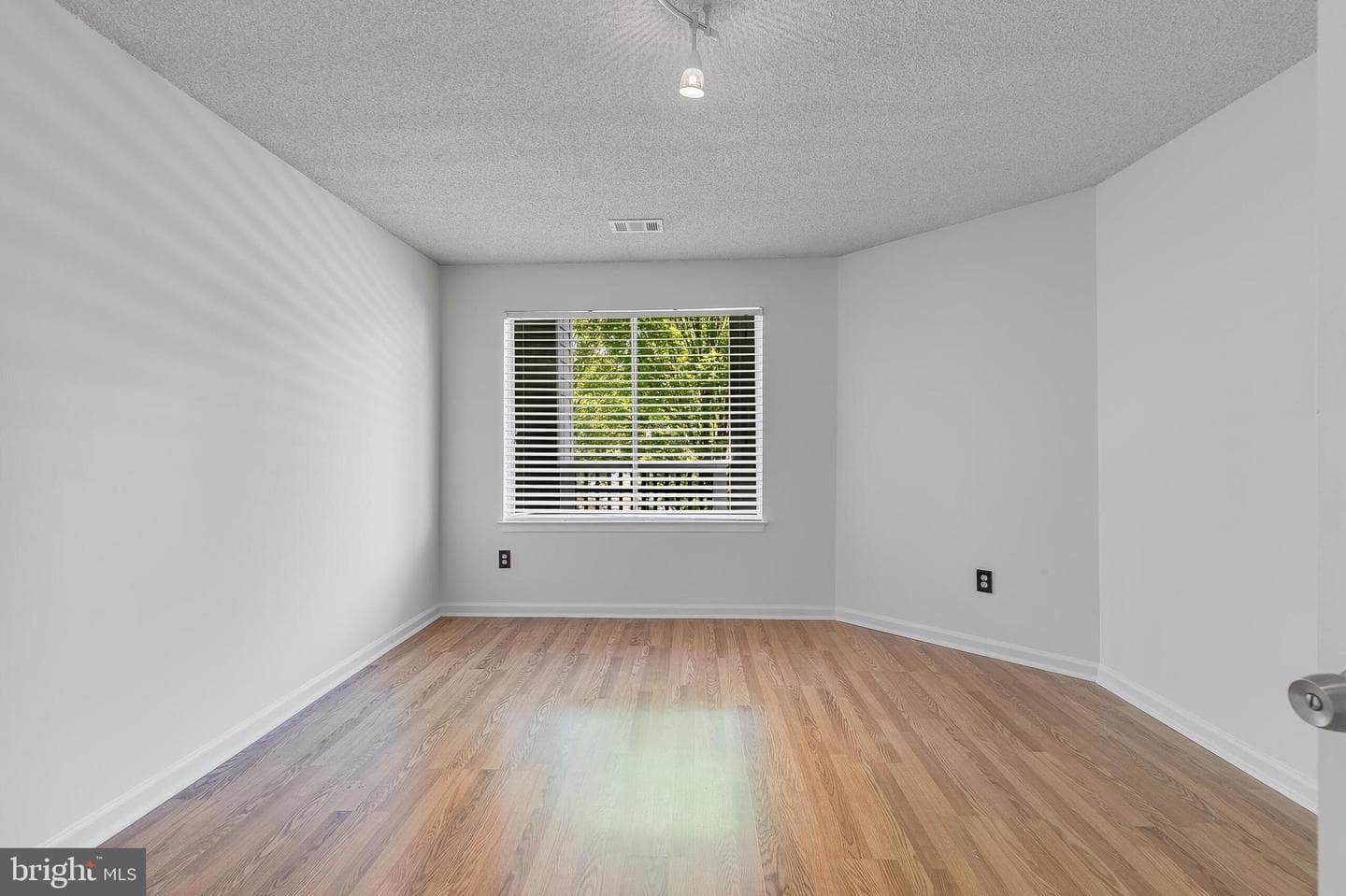 11743 Summerchase Circle photo 19