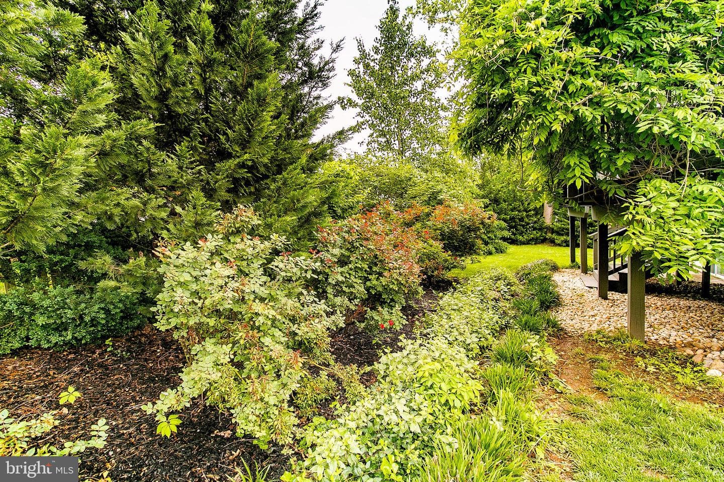 12508 Rock Chapel Court photo 20