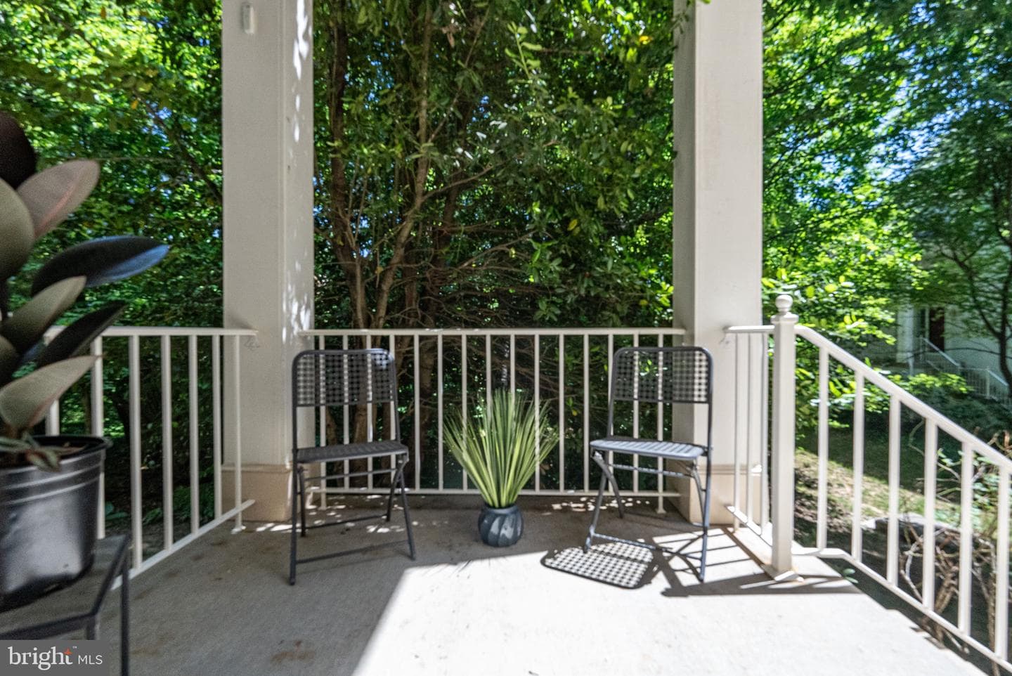 1307 Park Garden Lane photo 4
