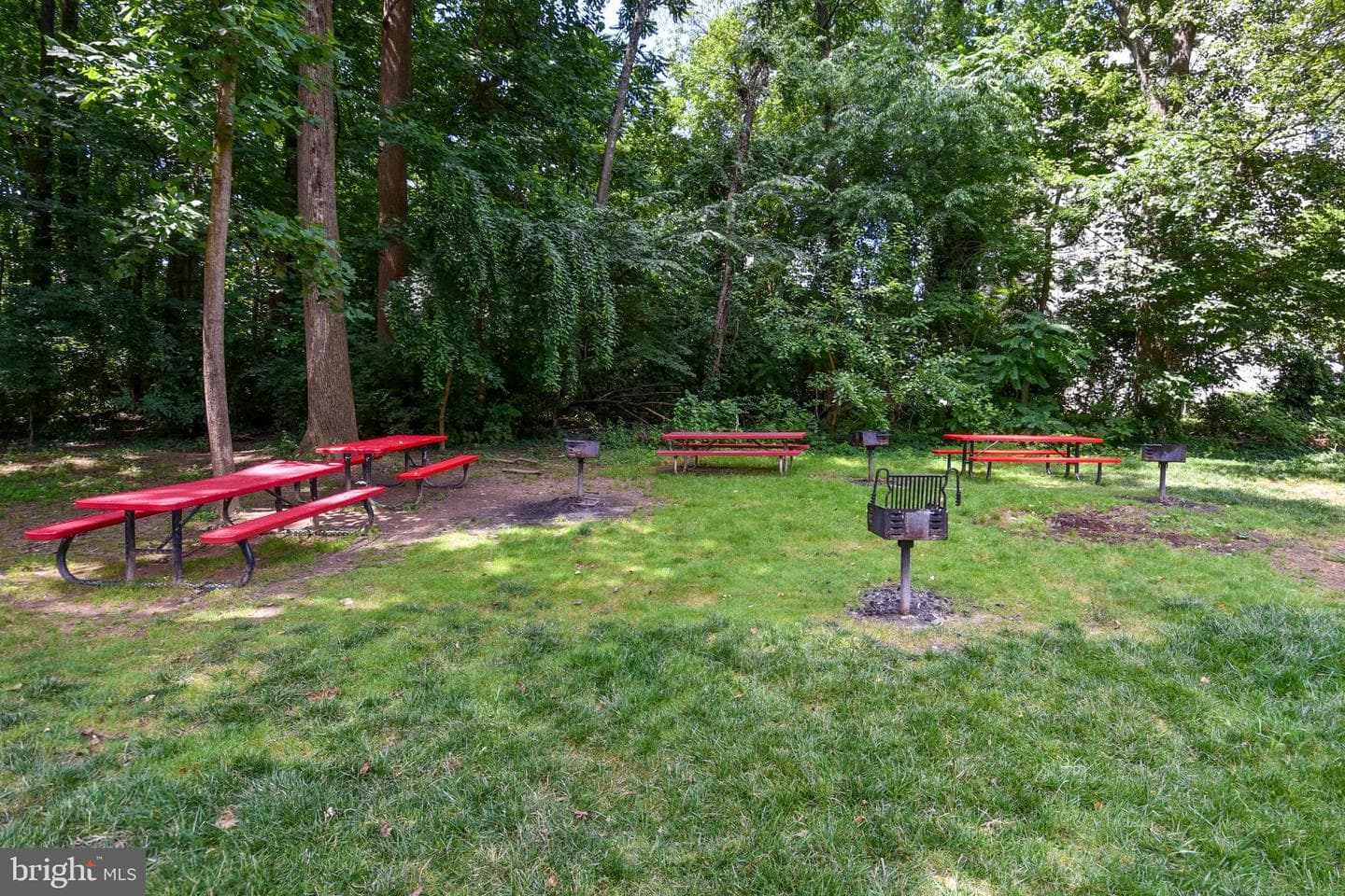 6137 Leesburg Pike #101 photo 36