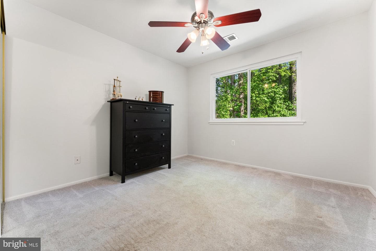 8715 Litwalton Court photo 43