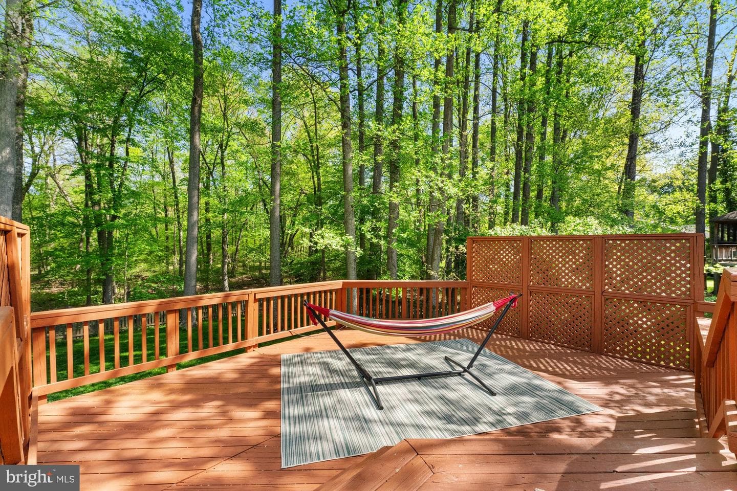 8715 Litwalton Court photo 61