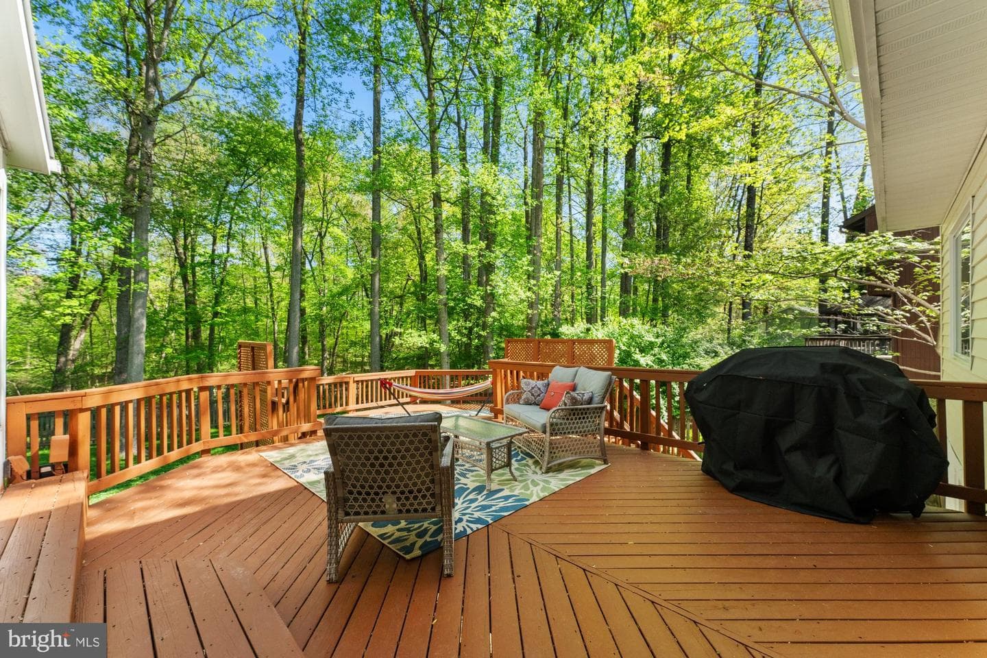 8715 Litwalton Court photo 66