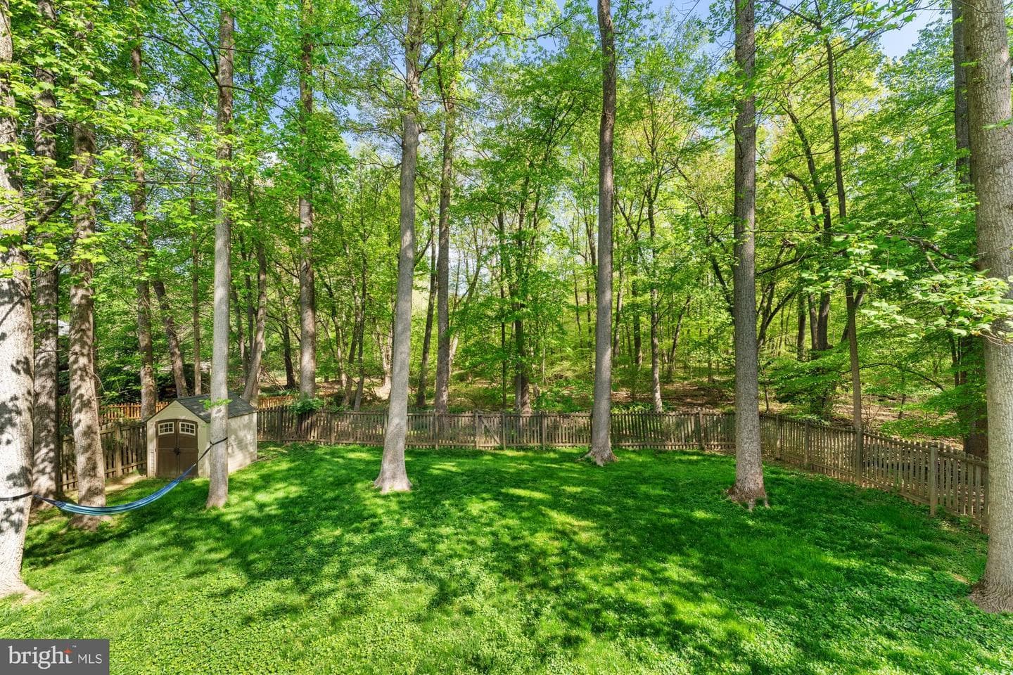 8715 Litwalton Court photo 67