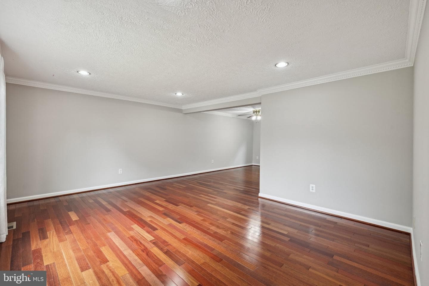 7112 Bonniemill Lane photo 4