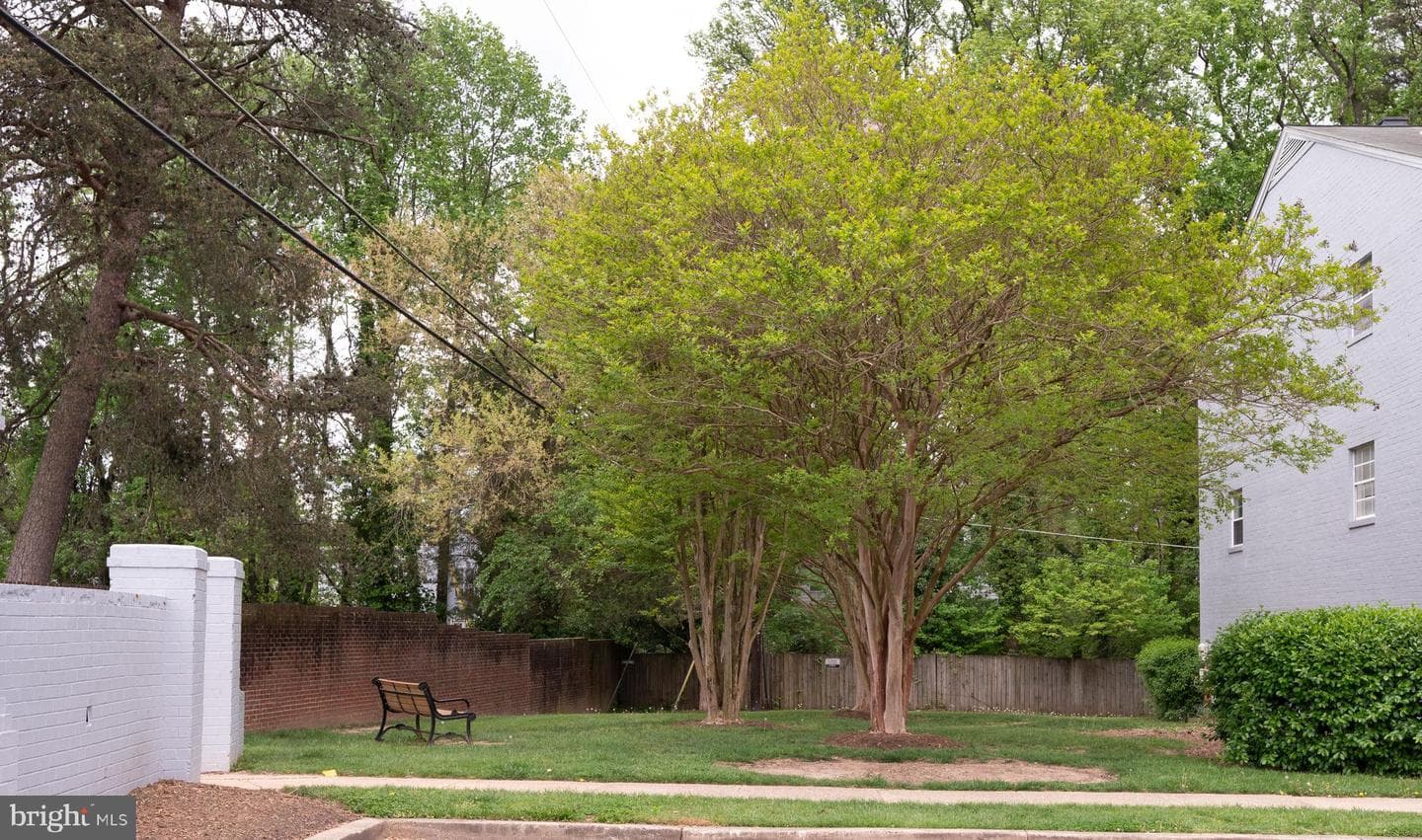 7097 Spring Garden Drive #101 photo 16