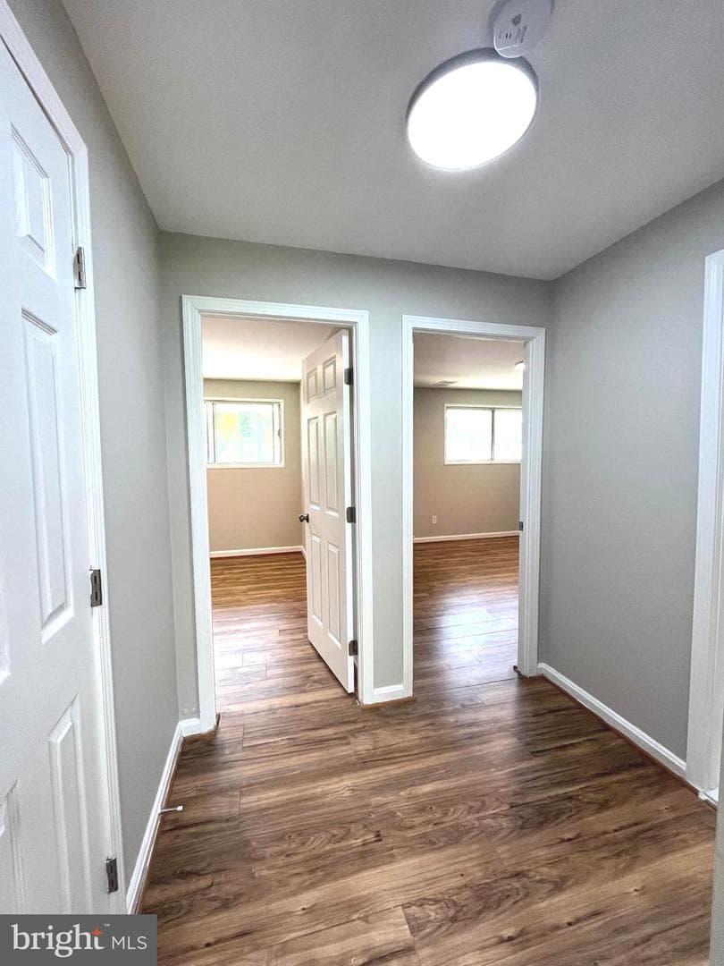 2831 Kalmia Lee Court #301 photo 8