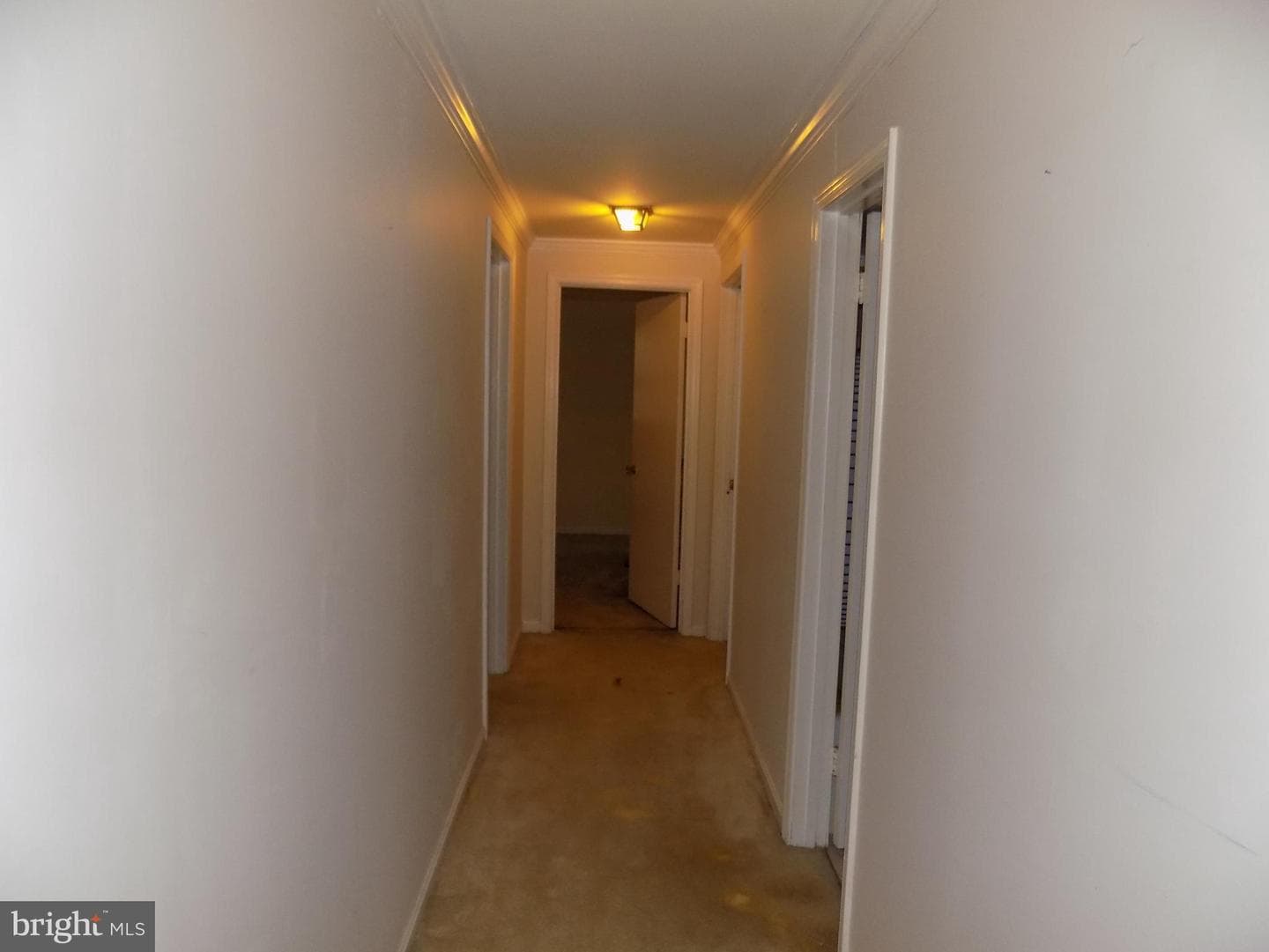 1806 Old Stage Road photo 38