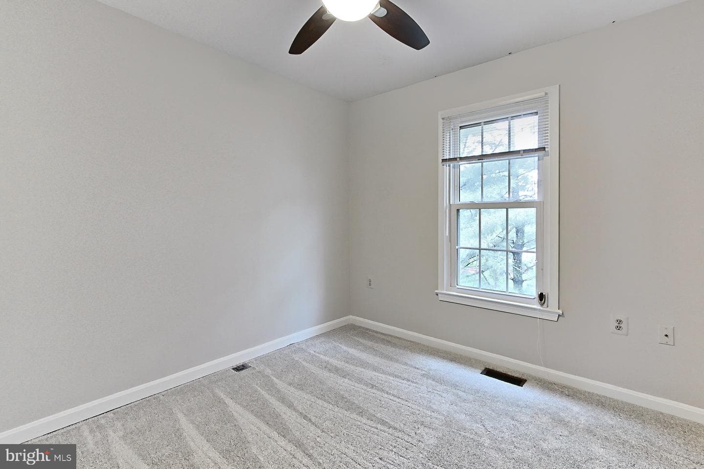 10317 Colony Park Drive photo 20