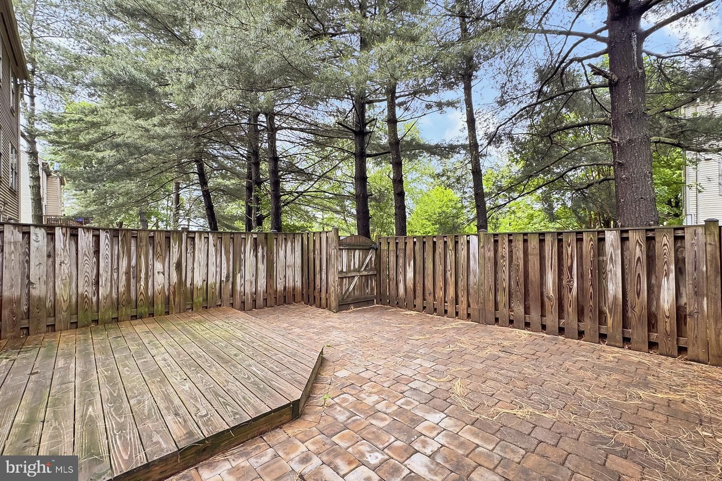 10317 Colony Park Drive photo 27