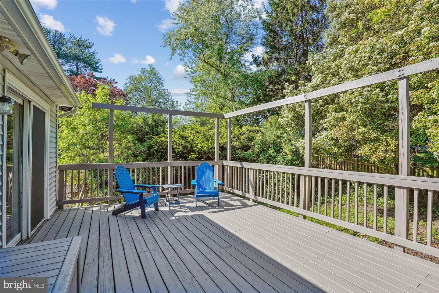 4509 Dartmoor Lane photo 8