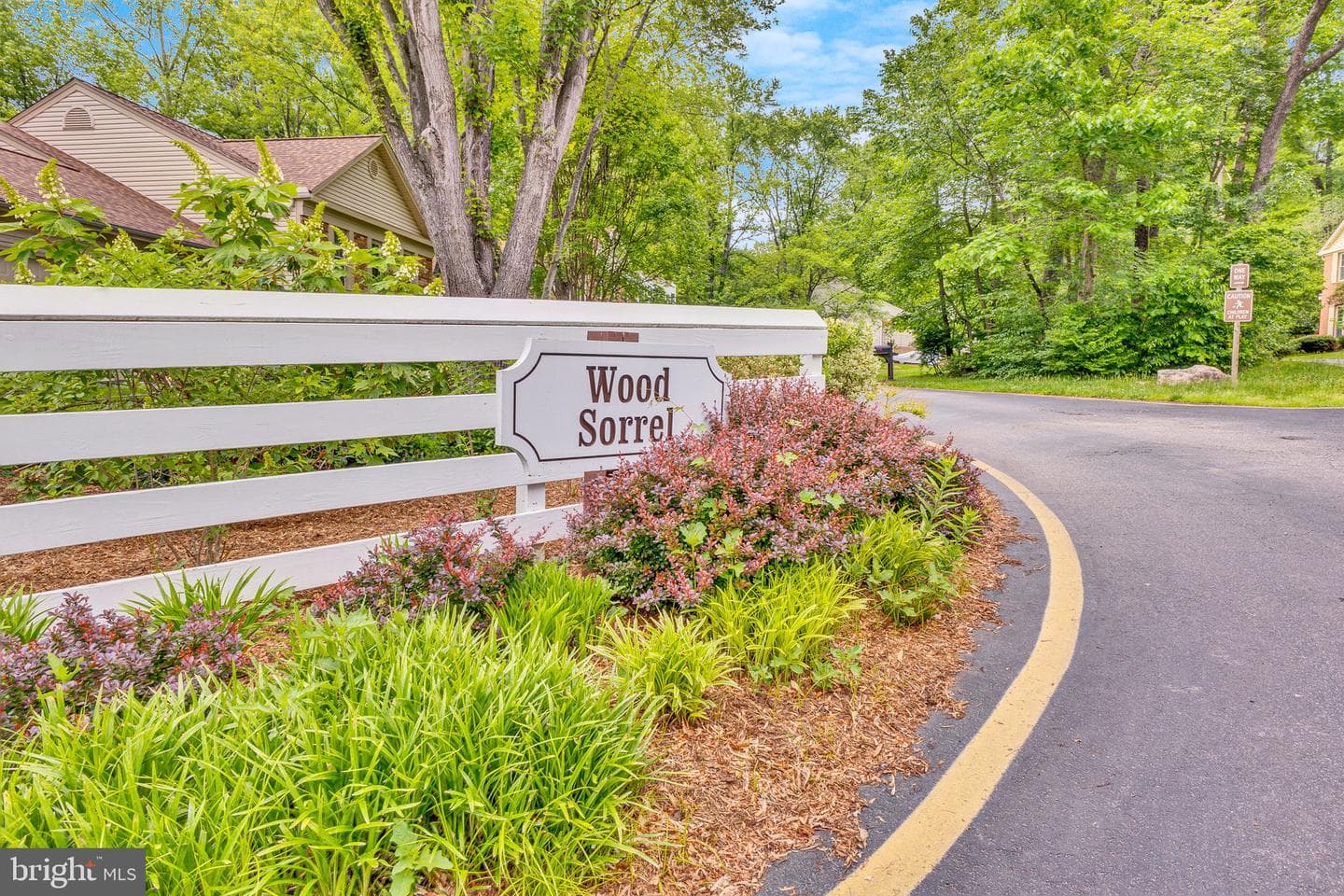 10062 Wood Sorrels Lane photo 22