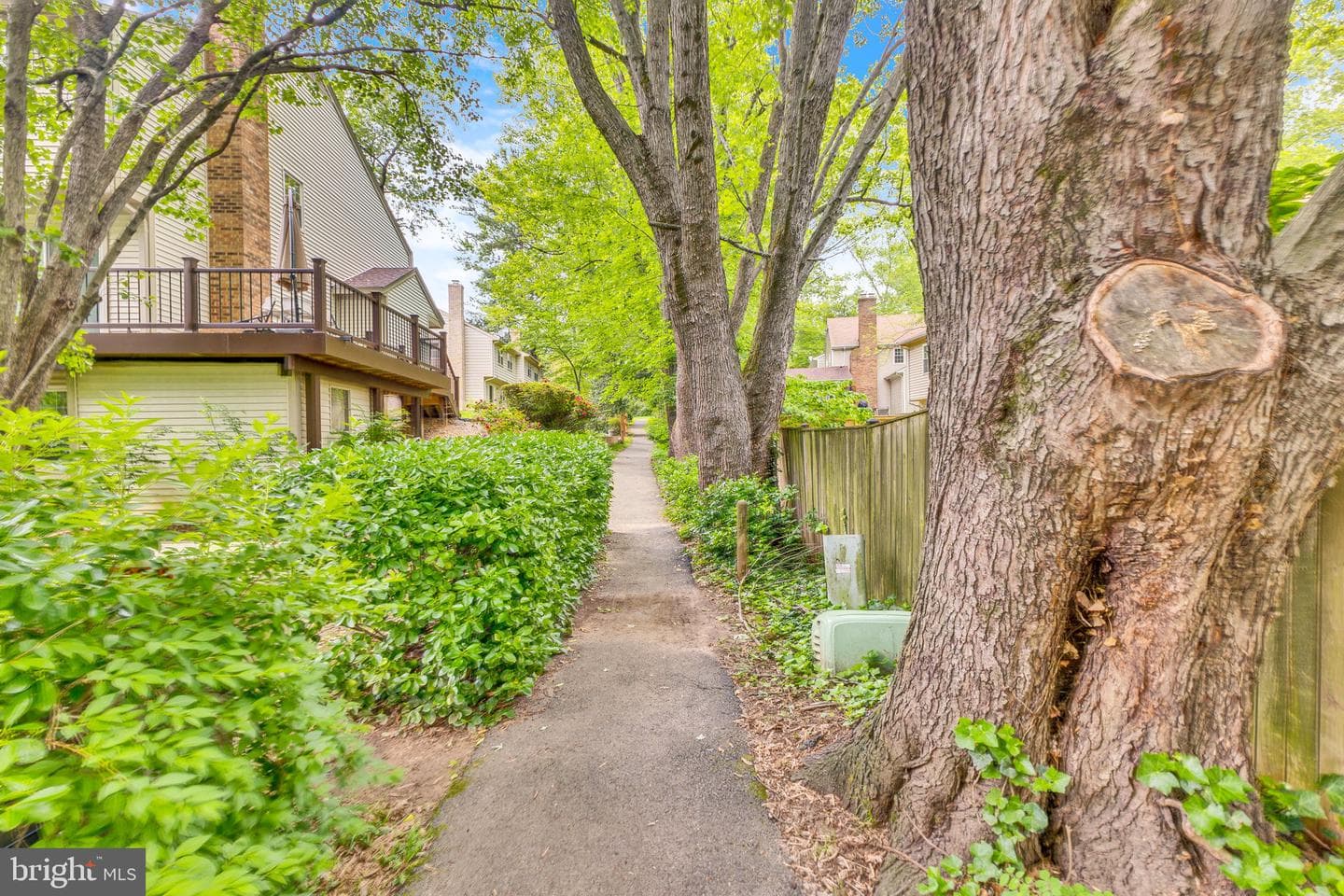 10062 Wood Sorrels Lane photo 27