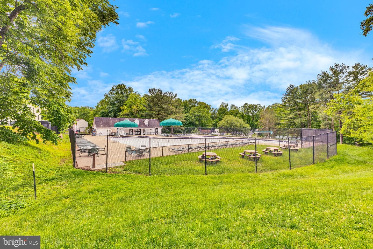 10062 Wood Sorrels Lane photo 31