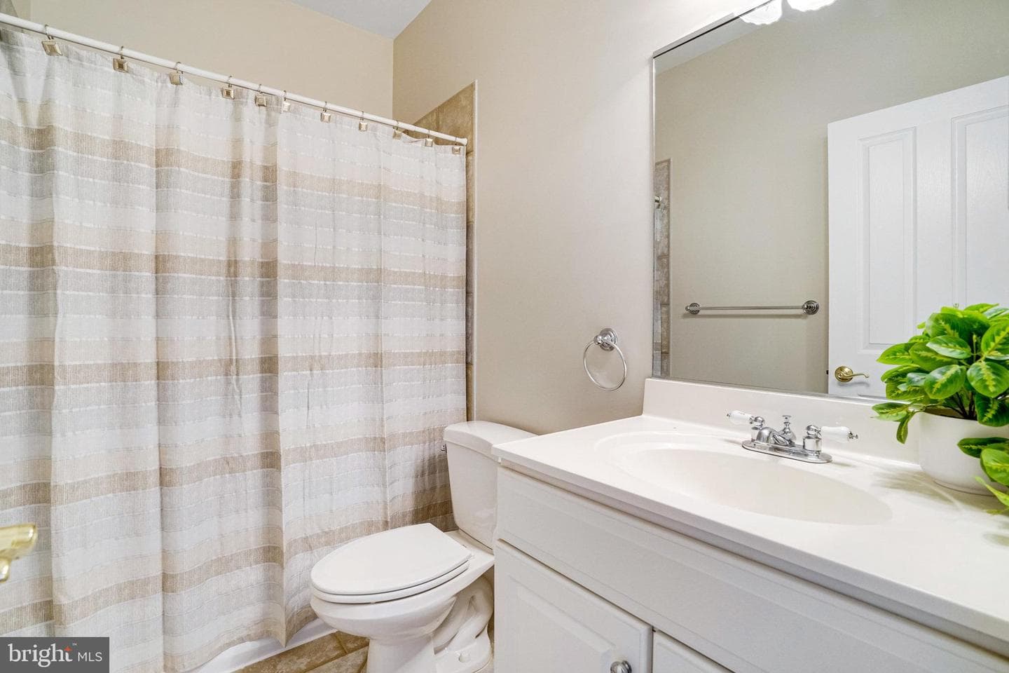 2317 Chestnut Hill Avenue photo 24