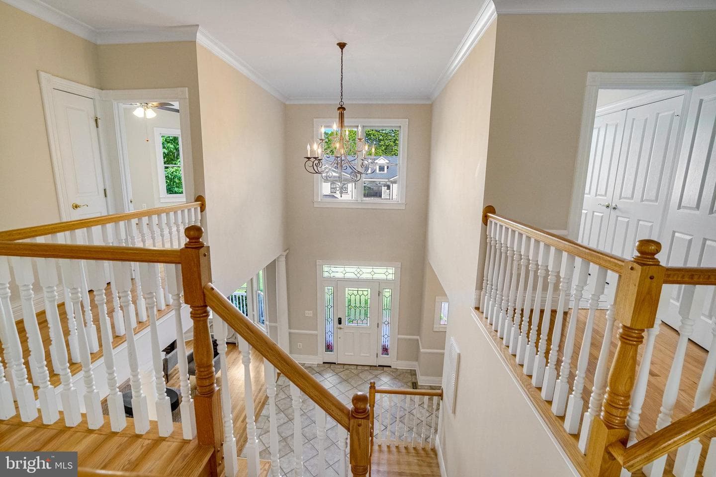 2317 Chestnut Hill Avenue photo 4