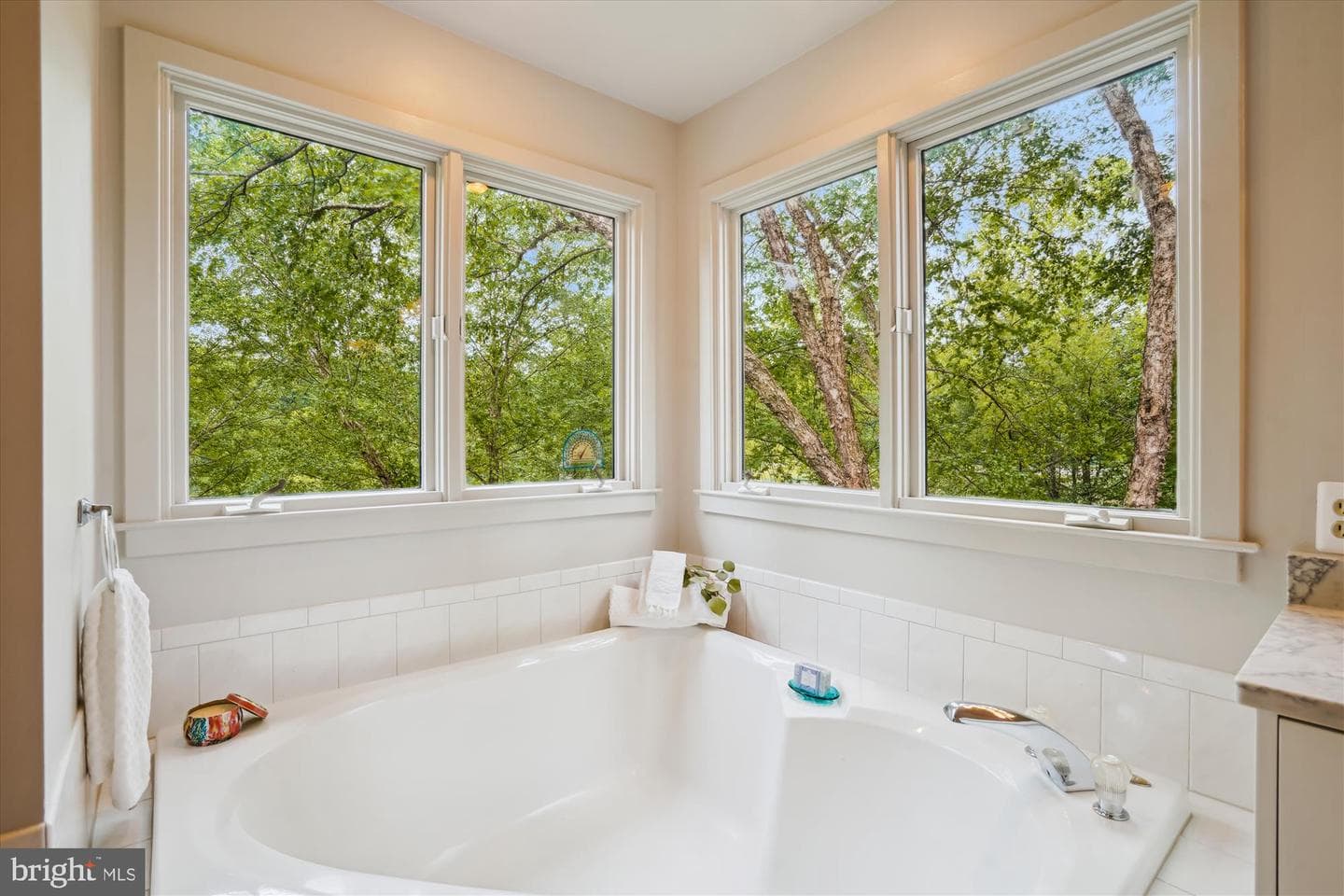 1145 Water Pointe Lane photo 30
