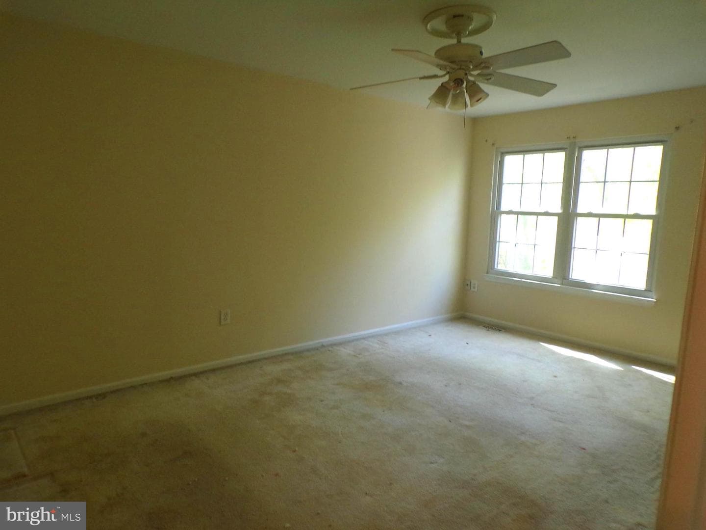 7659 Southern Oak Drive photo 10