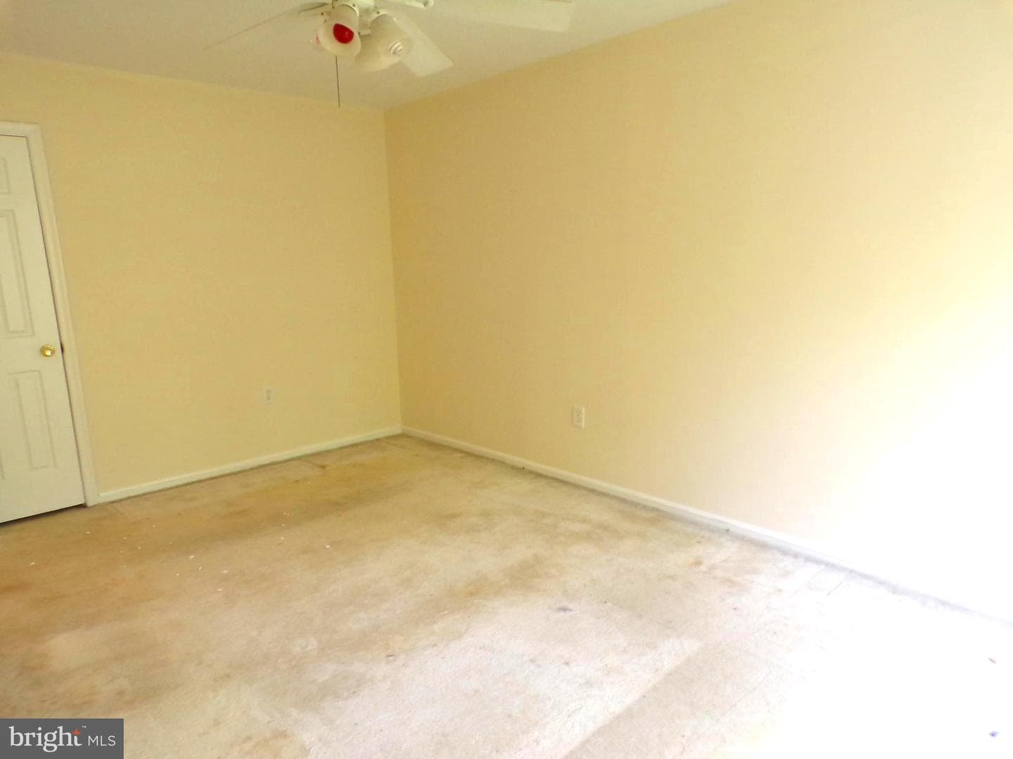 7659 Southern Oak Drive photo 11