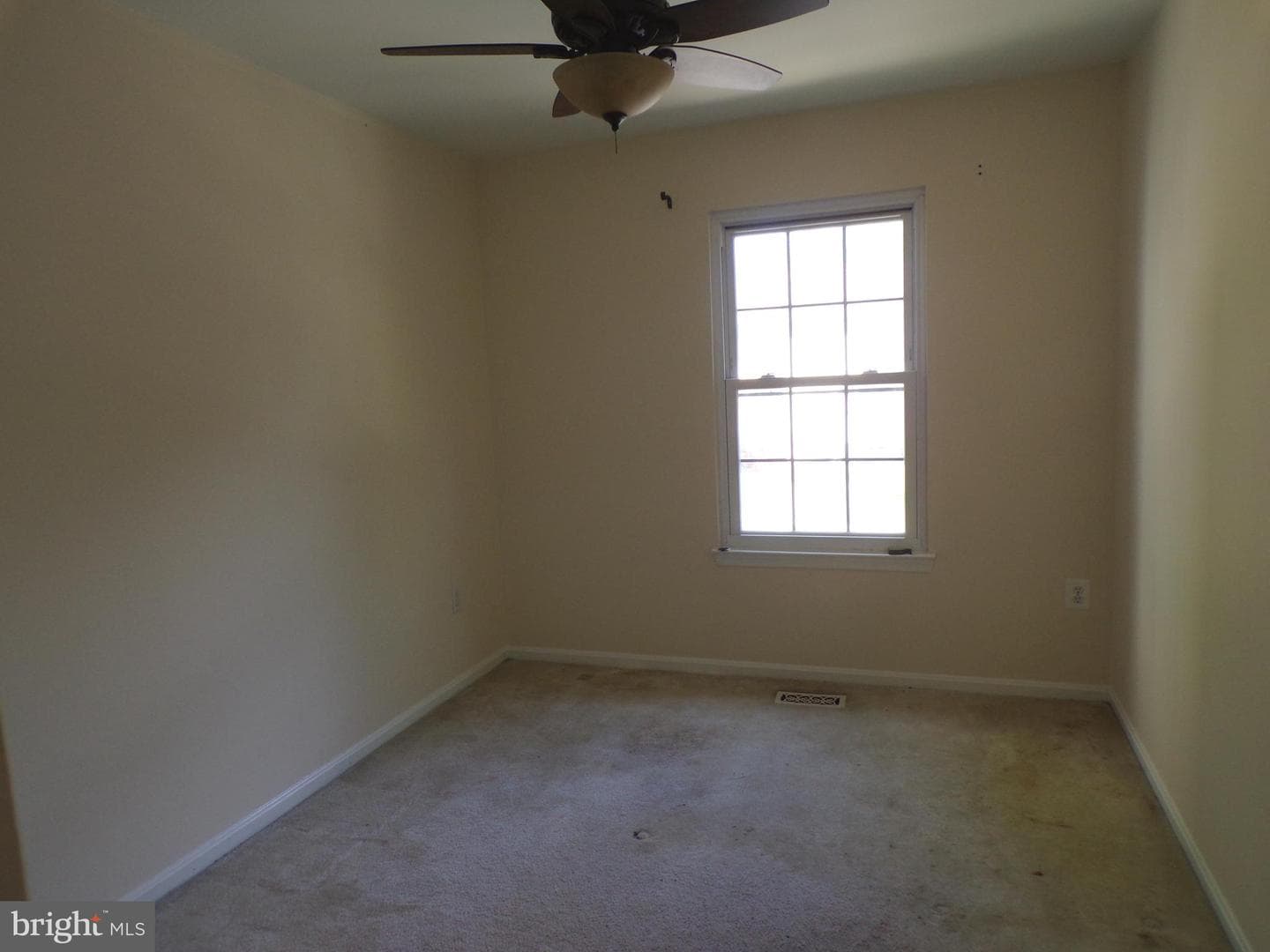 7659 Southern Oak Drive photo 12