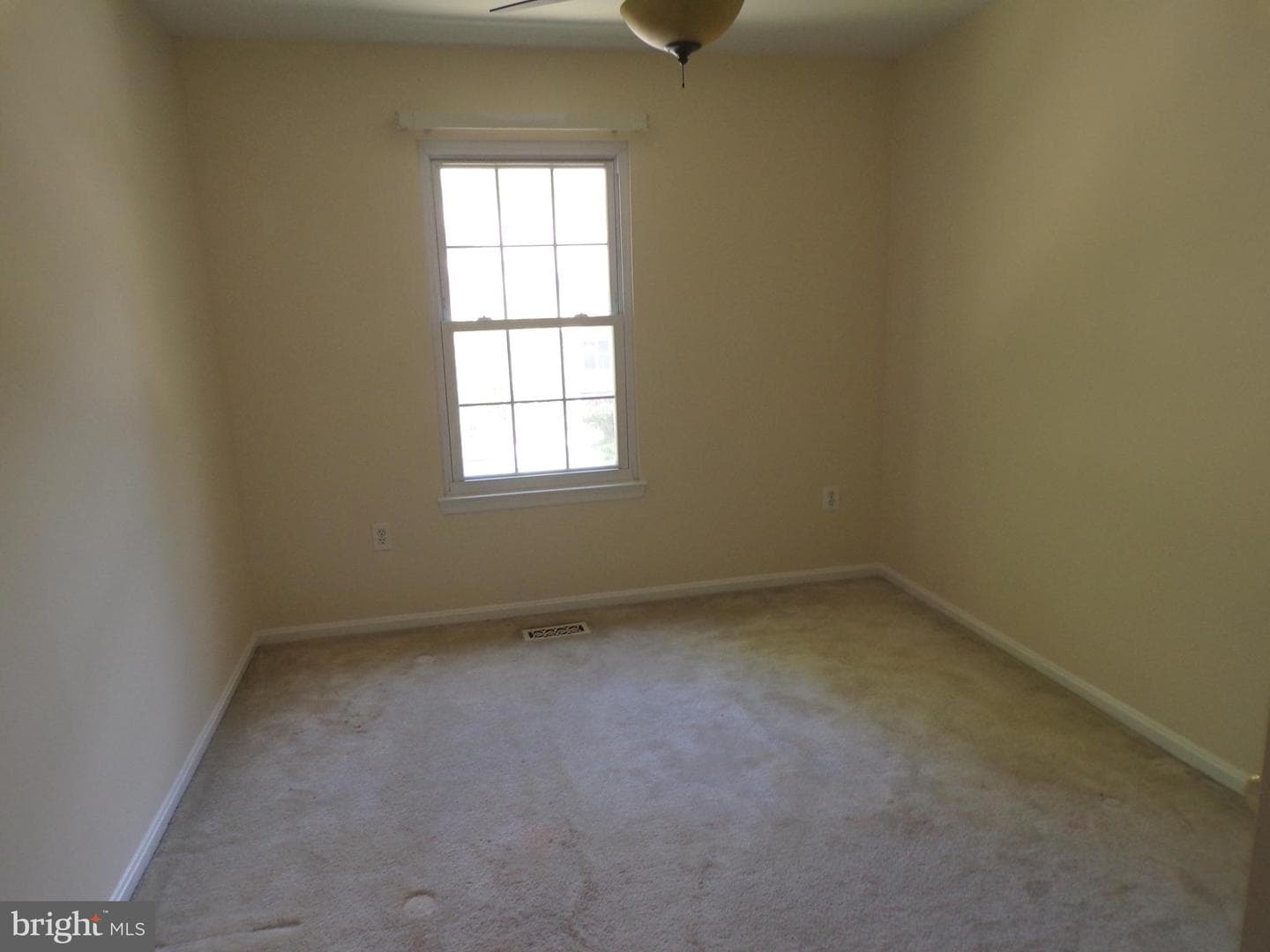7659 Southern Oak Drive photo 13