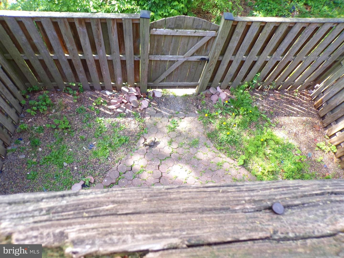 7659 Southern Oak Drive photo 22