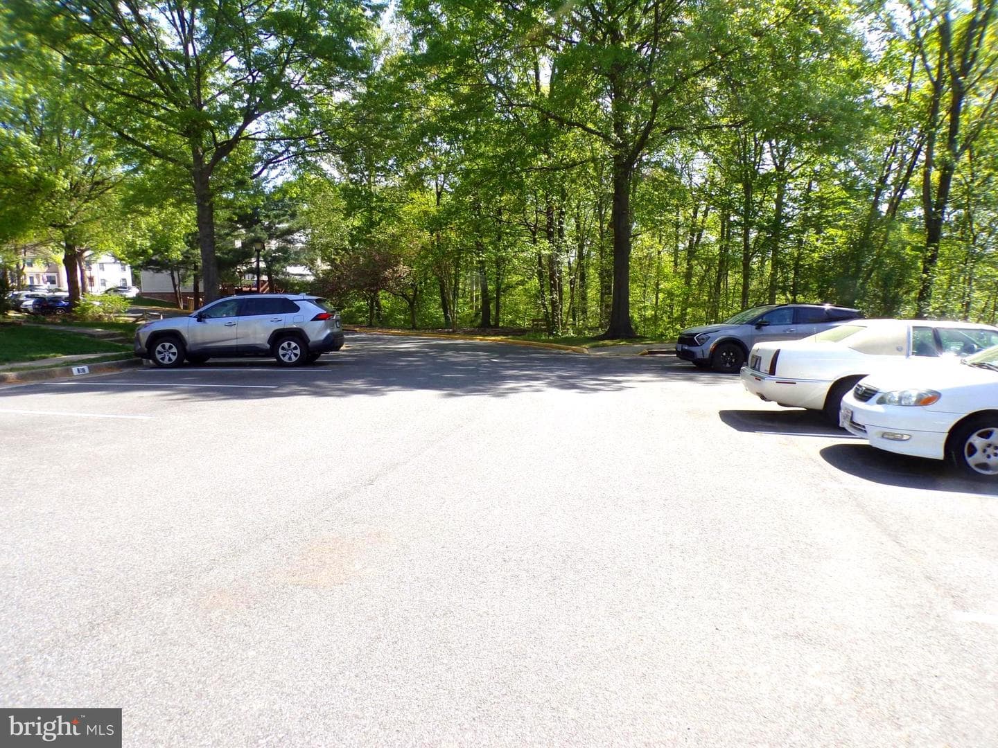 7659 Southern Oak Drive photo 24