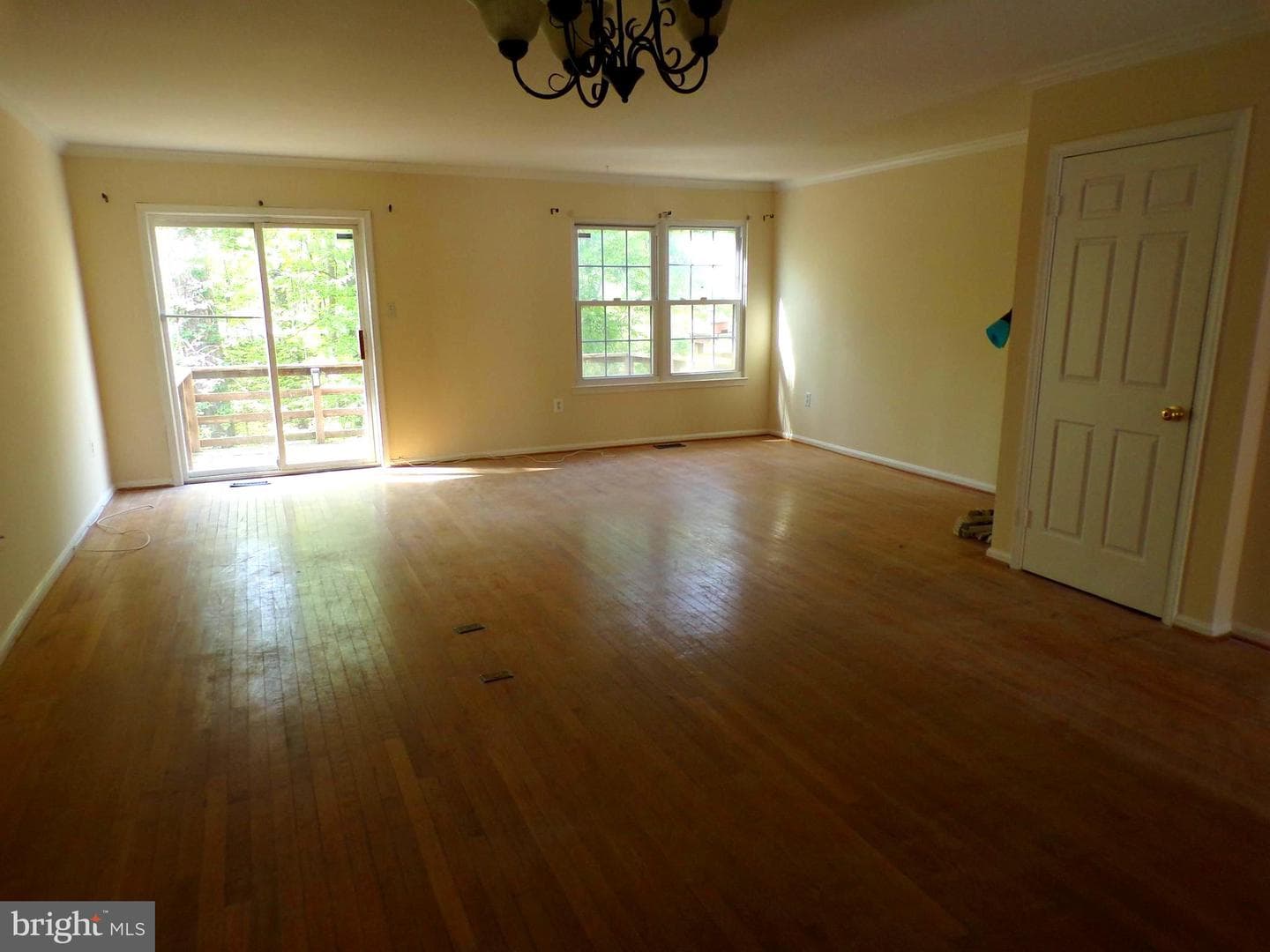 7659 Southern Oak Drive photo 5