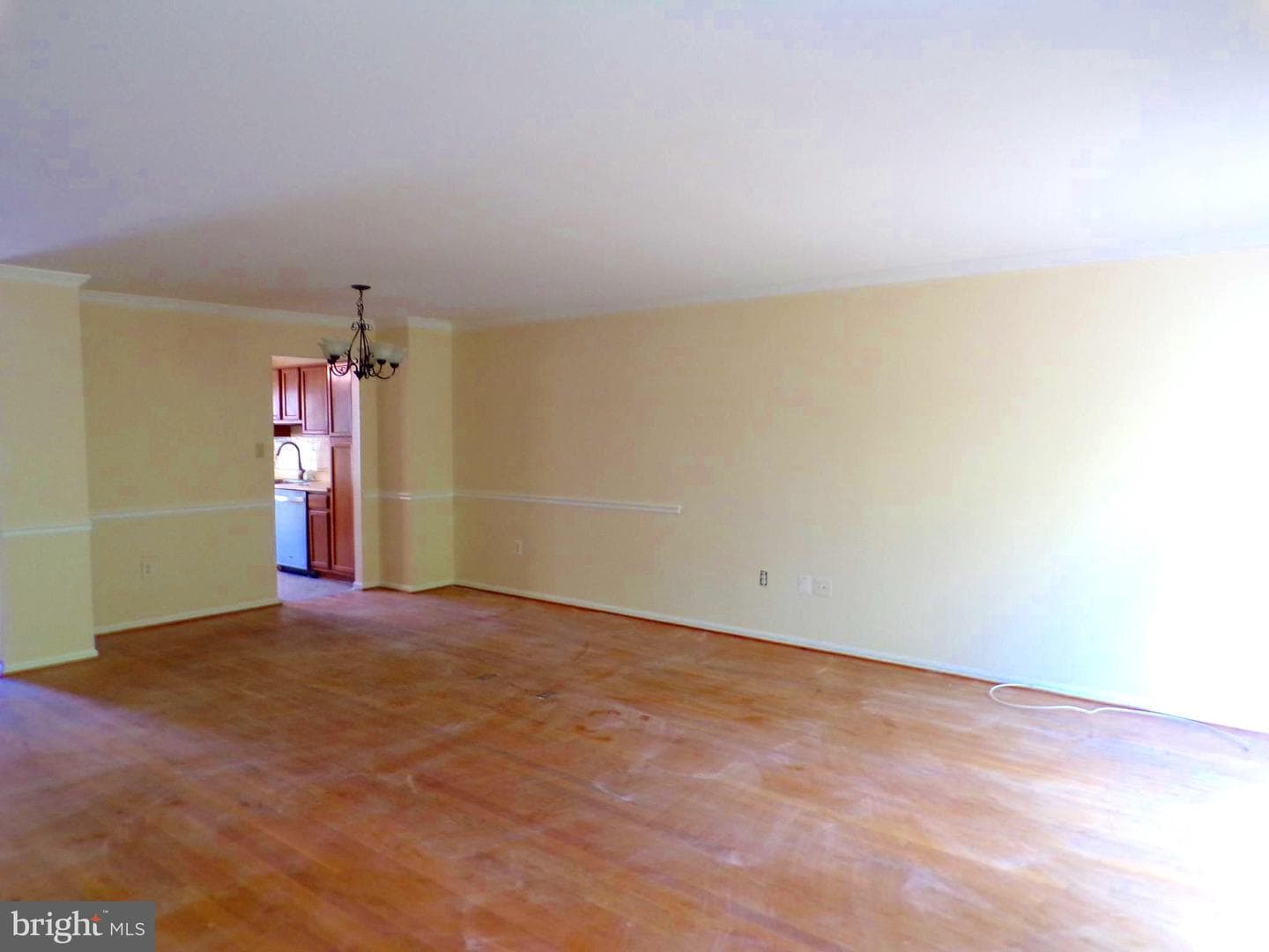 7659 Southern Oak Drive photo 7