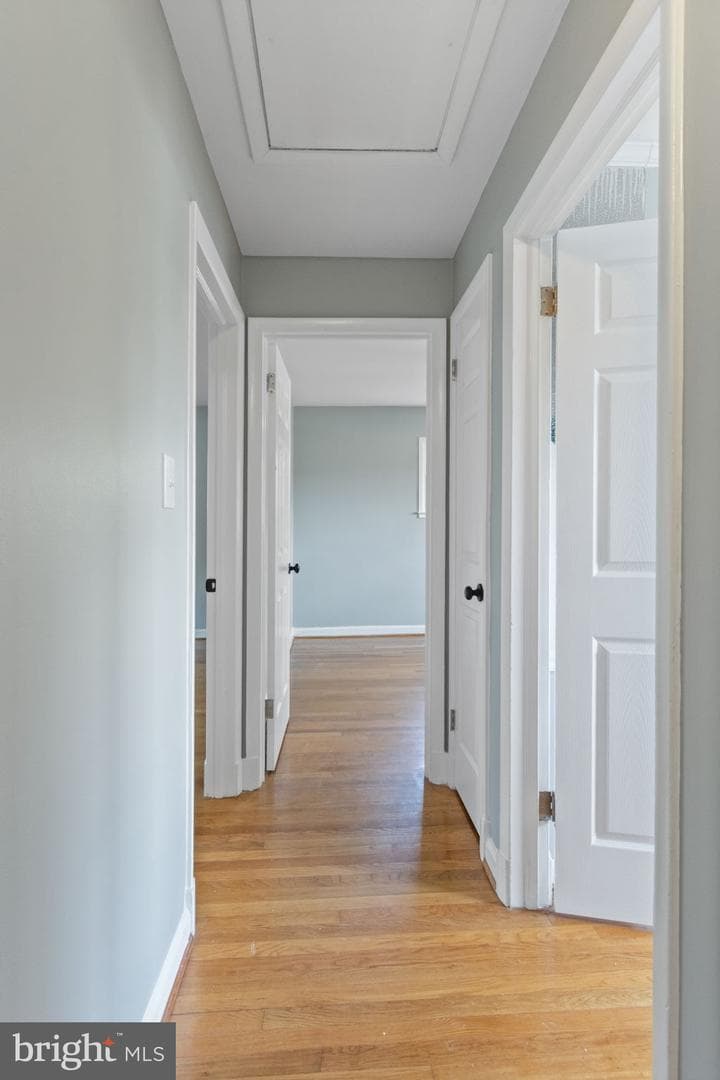7024 Statendam Court photo 24