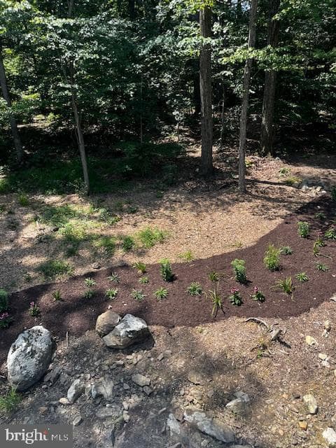 11340 Park Drive photo 97
