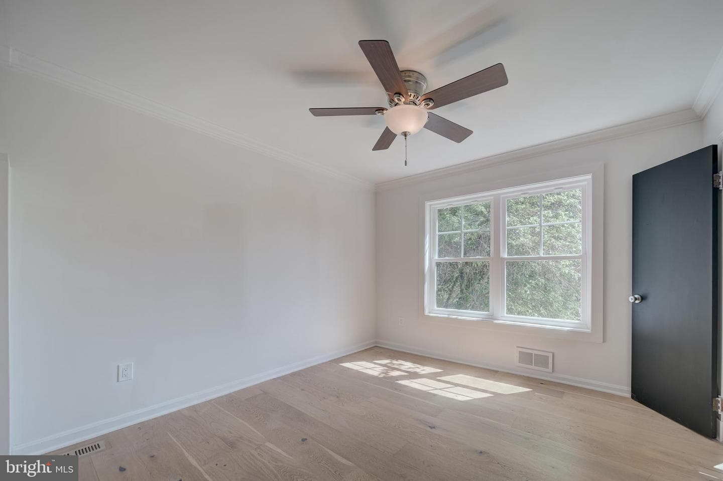 2811 Cedar Lane photo 12