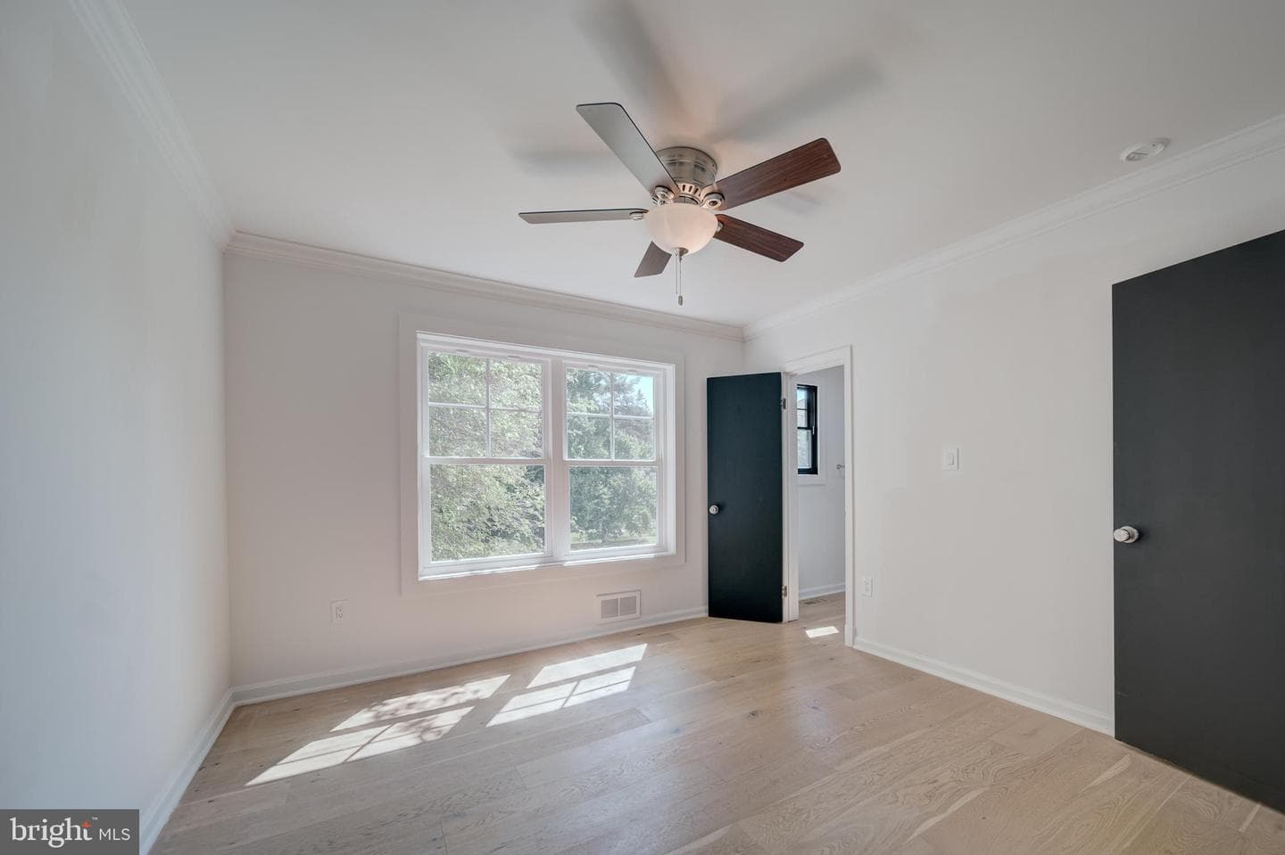 2811 Cedar Lane photo 9