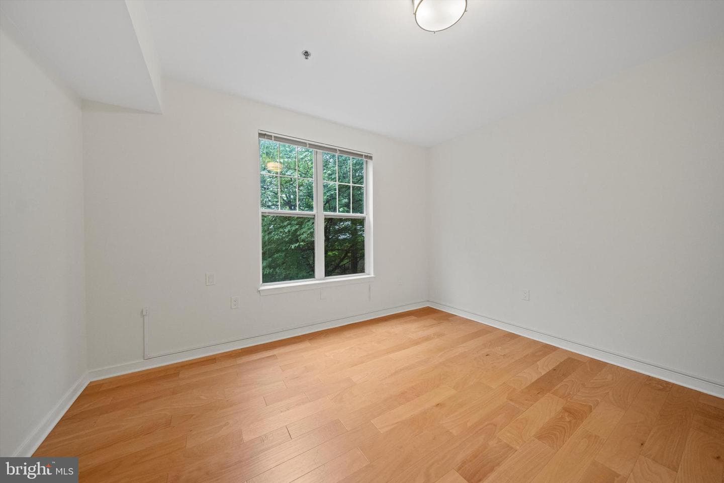 1641 International Drive #215 photo 10