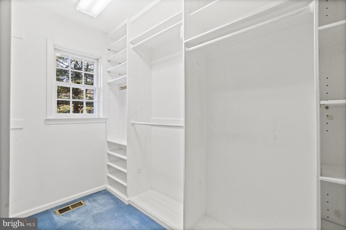 10333 Hickory Forest Drive photo 20