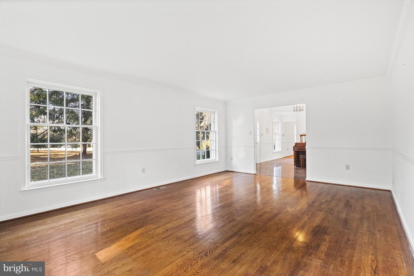 10333 Hickory Forest Drive photo 5