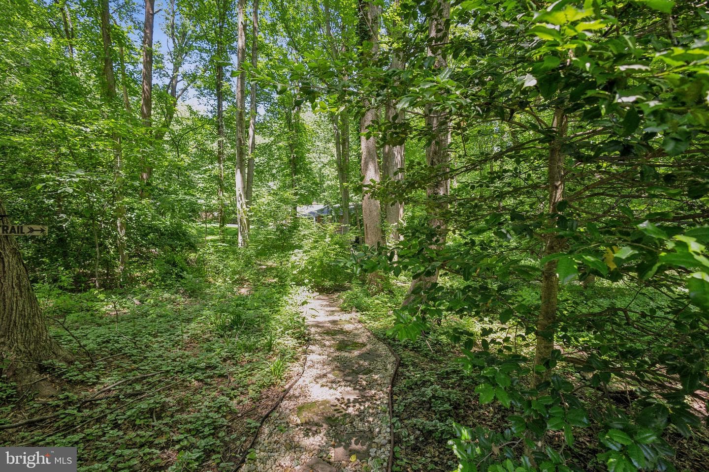 6813 Jeremiah Court photo 33