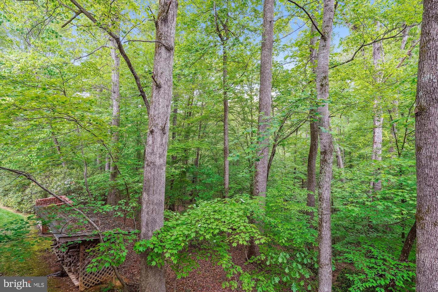 7517 Lees Farm Road photo 46