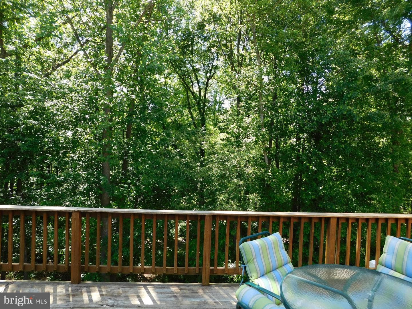 1559 Autumn Ridge Circle photo 45