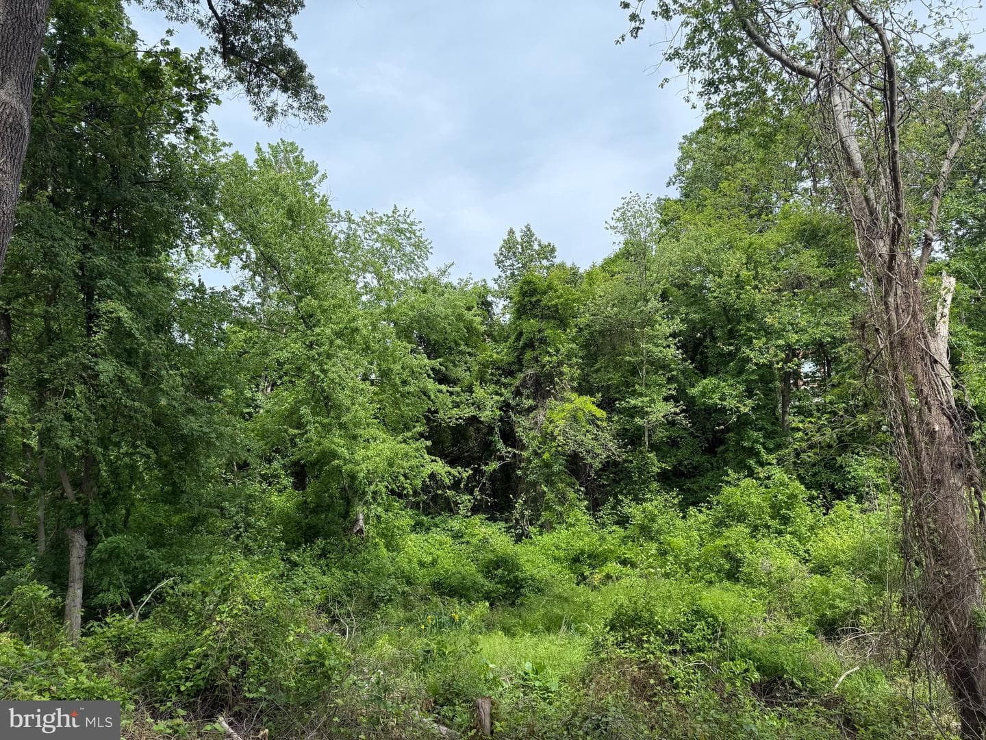 9517 Ferry Harbour Court photo 4