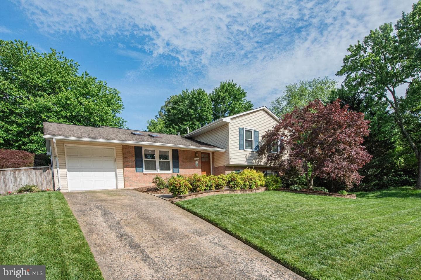 14815 Cranoke Street photo 3