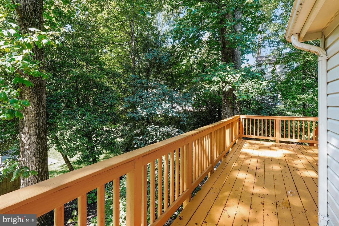 5938 New England Woods Drive photo 58