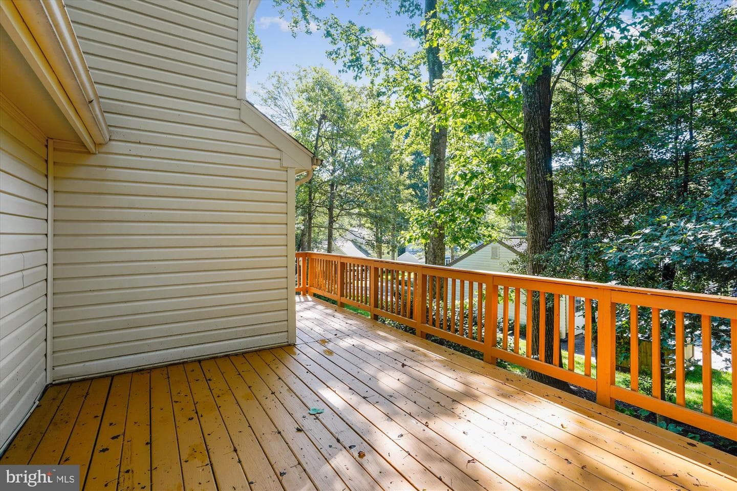 5938 New England Woods Drive photo 62