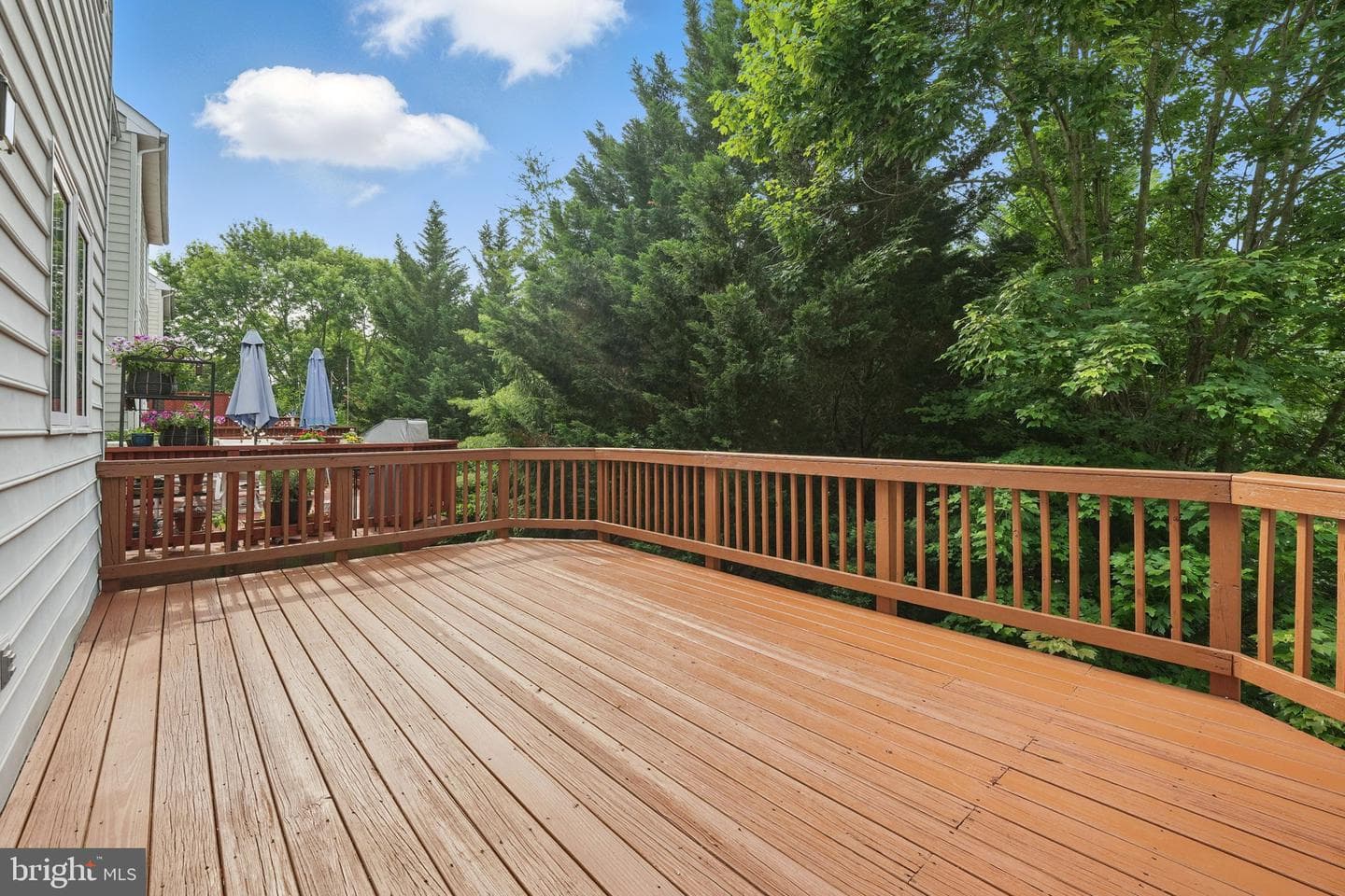 8859 Modano Place photo 15