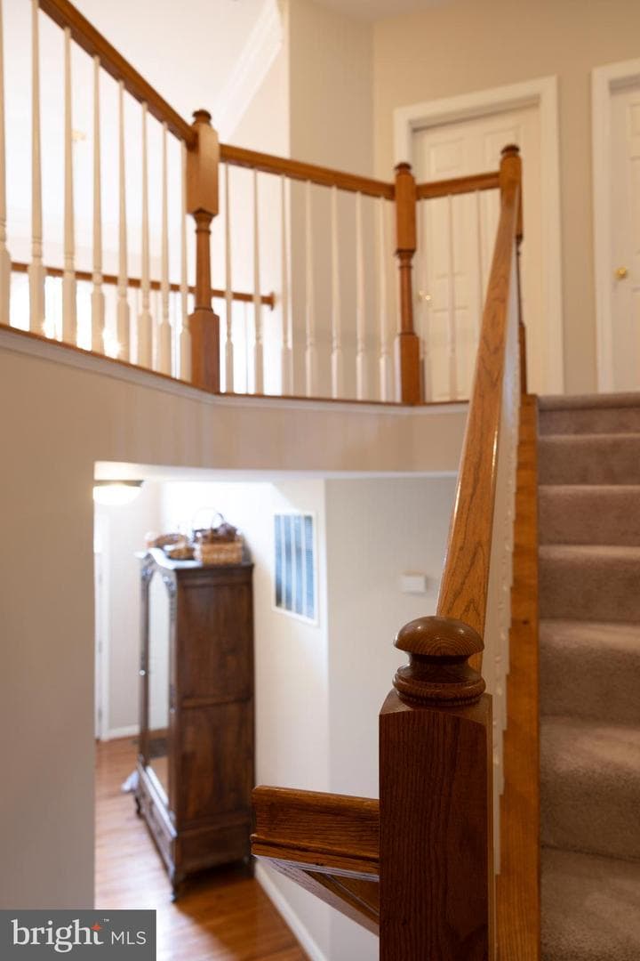 8621 James Creek Drive photo 24